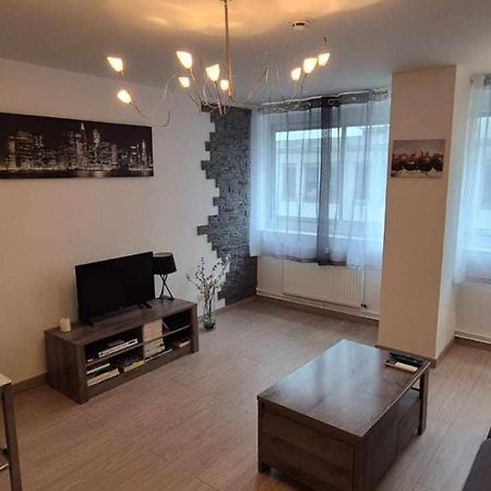 Nouveau !! Appartement Confortable Totalement Renove Avec Parking Gratuit - Hypercentre De Nancy Eksteriør billede