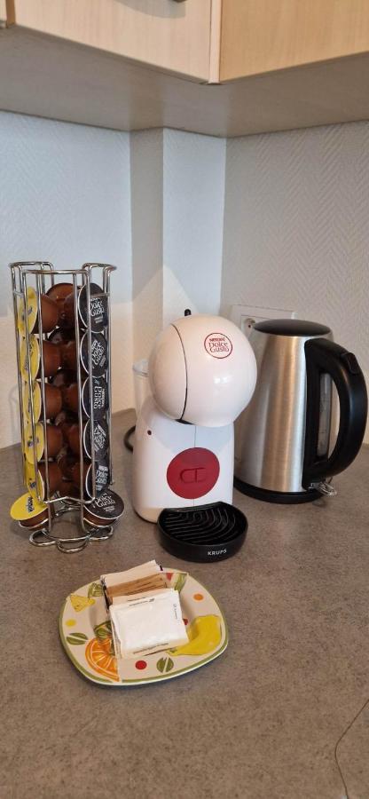 Nouveau !! Appartement Confortable Totalement Renove Avec Parking Gratuit - Hypercentre De Nancy Eksteriør billede