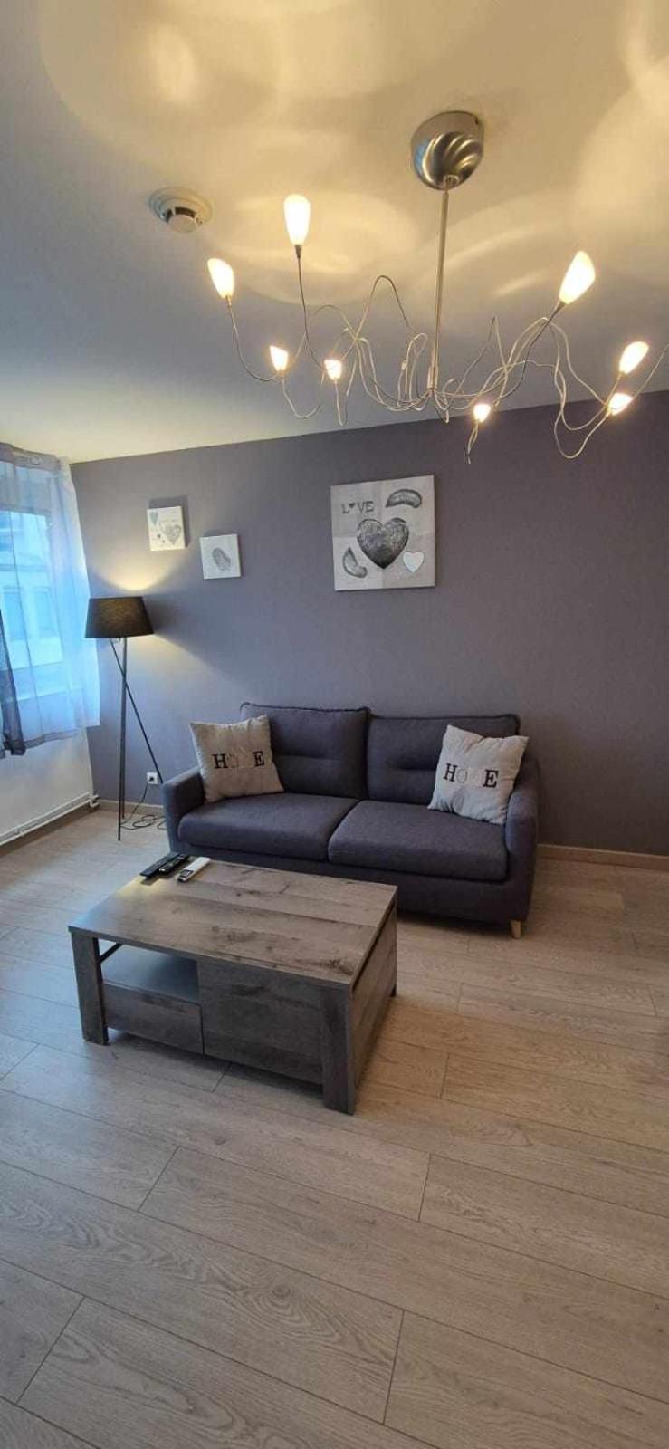 Nouveau !! Appartement Confortable Totalement Renove Avec Parking Gratuit - Hypercentre De Nancy Eksteriør billede
