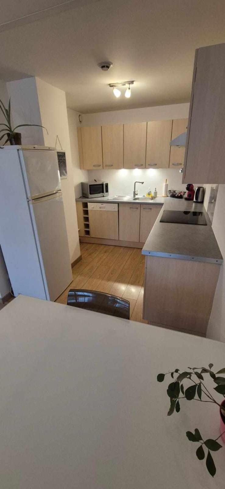 Nouveau !! Appartement Confortable Totalement Renove Avec Parking Gratuit - Hypercentre De Nancy Eksteriør billede